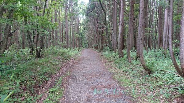 戸隠神社参拝の神道（遊歩道）