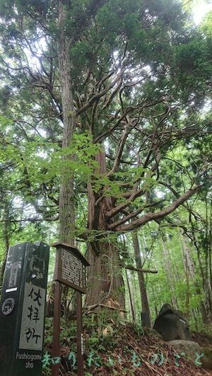 神道（古道）にある伏拝所