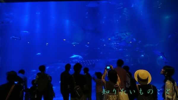 のとじま水族館を満喫する詳細情報