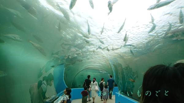 のとじま水族館の日本最大級トンネル水槽