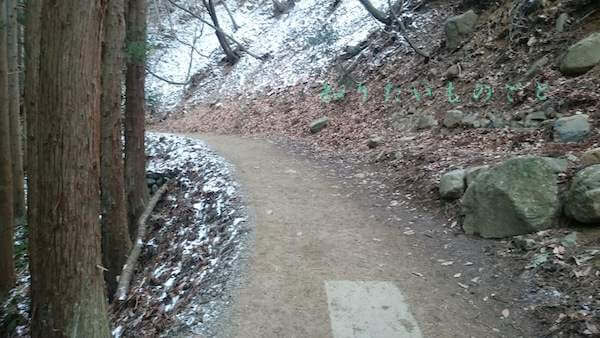 地獄谷の湯道遊歩道