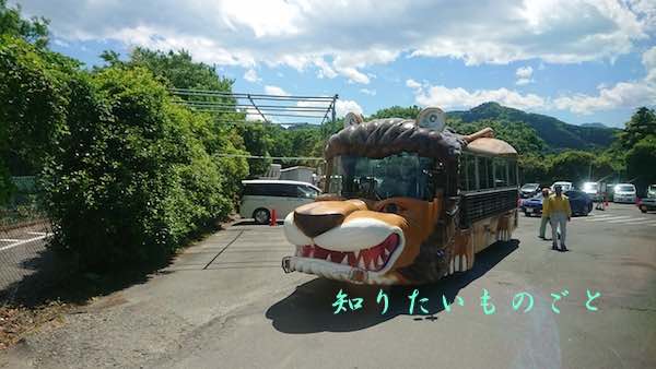 群馬サファリパークの餌やり体験バスとサファリバス