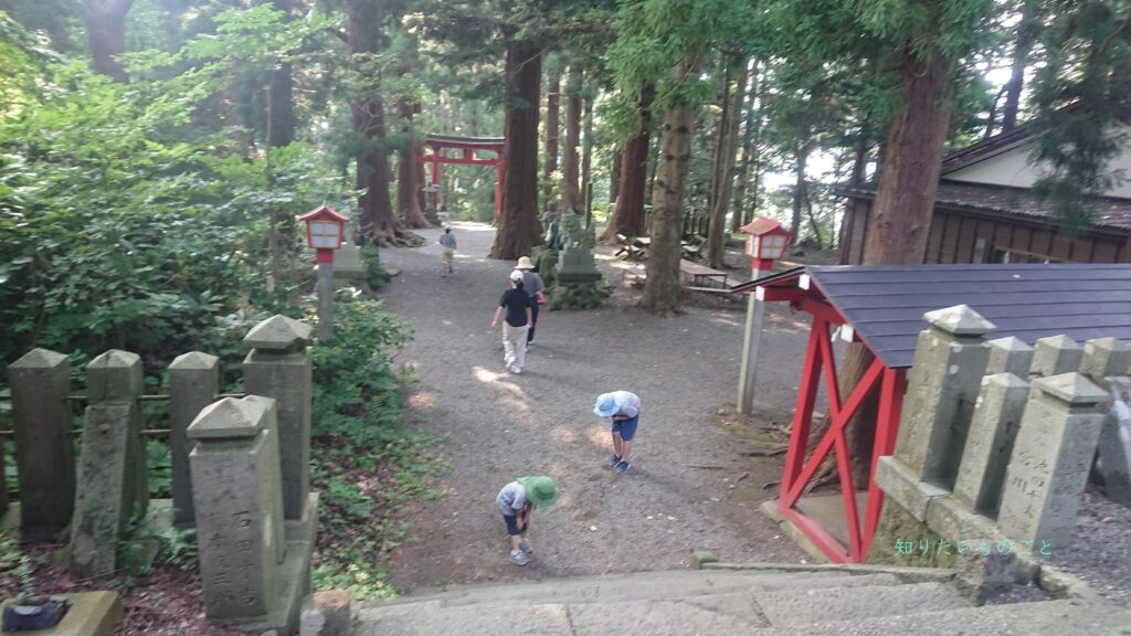 宇賀神社の本殿境内